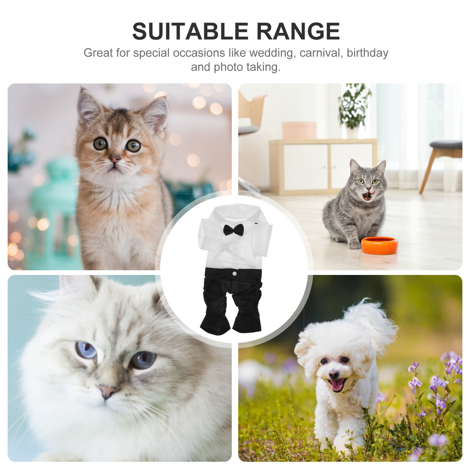 1Set Pet Cat Clothes Dog Suit  - Suitsupply Wedding Tuxedo avis et prix