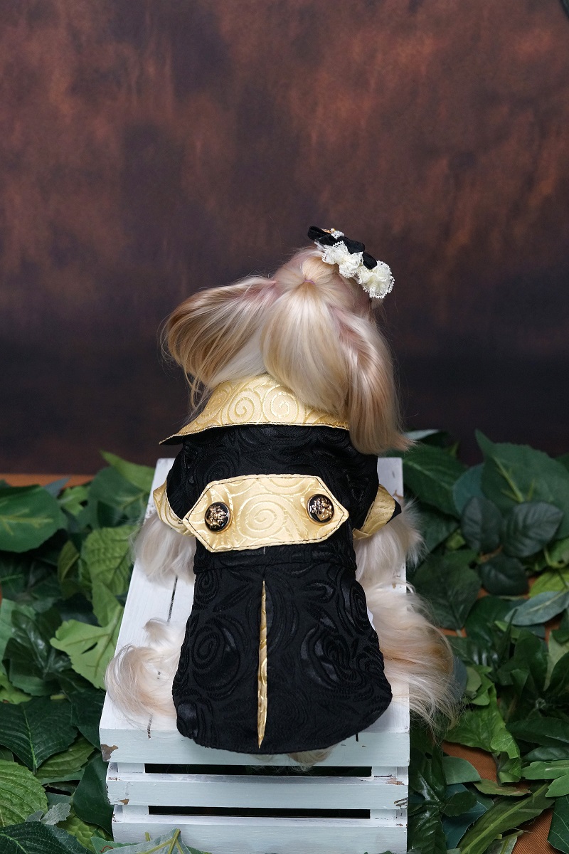 Handmade Dog Clothes Luxurious - Suitsupply Wedding Tuxedo avis et prix