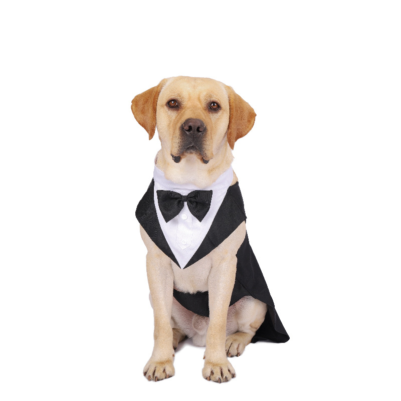 Pet Dog Clothes Fashion Party  - Suitsupply Wedding Tuxedo avis et prix